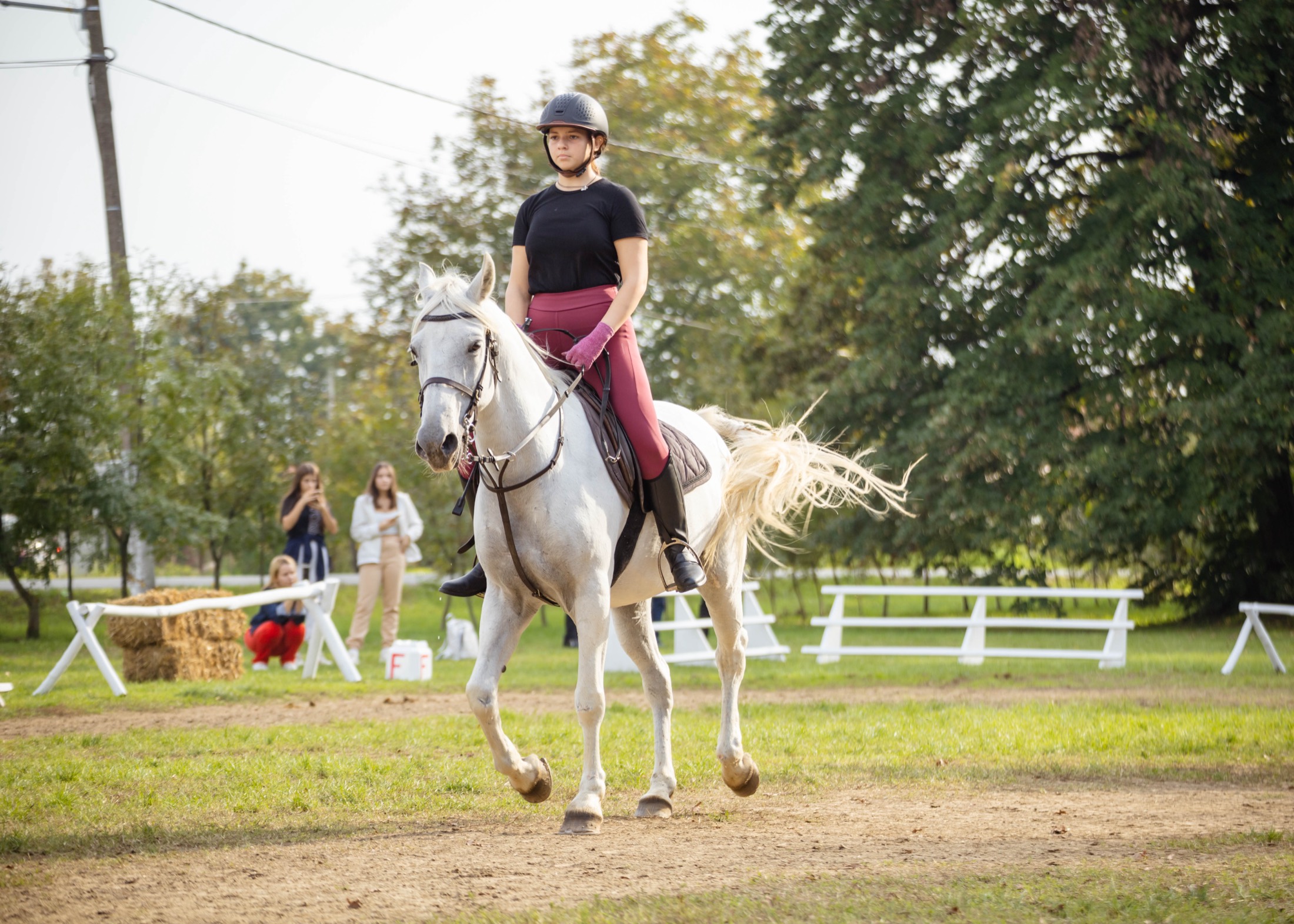 A rider schooling a grey horse in the arena