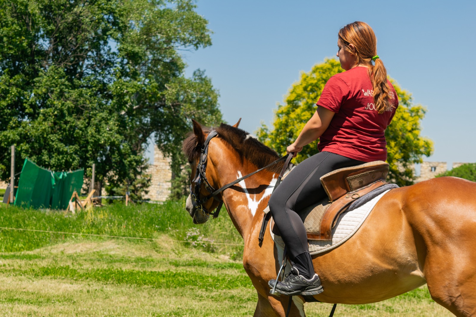 A rider working a chestnut horse in the open